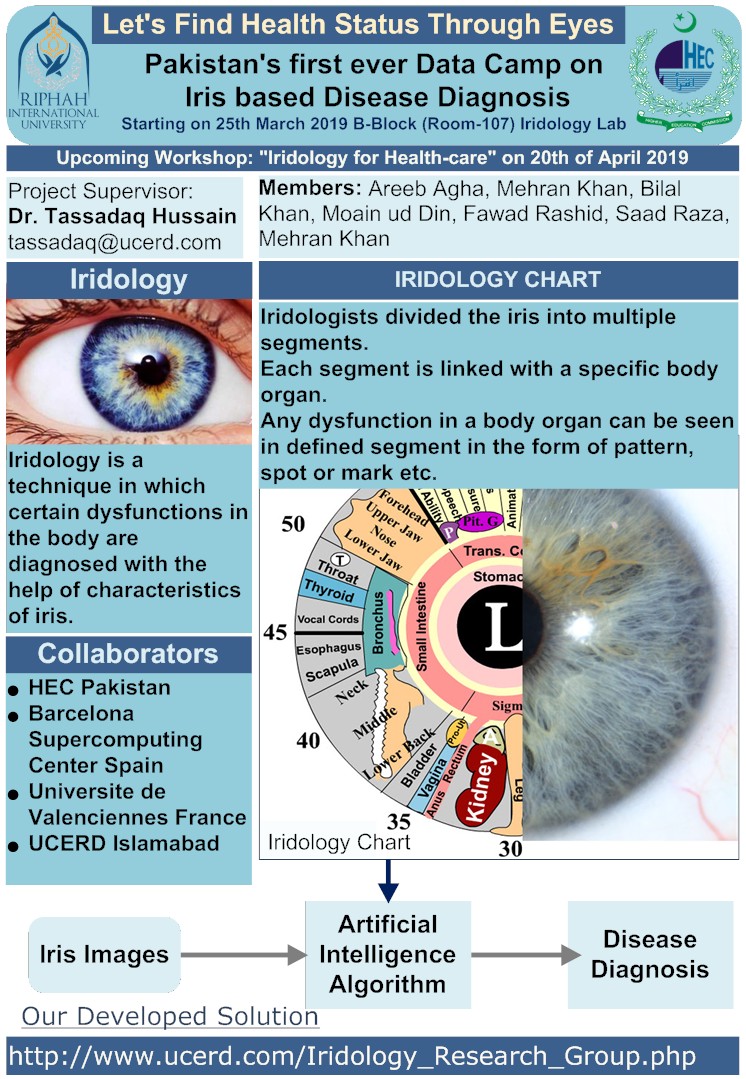 Integrated Iridology Chart